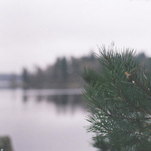 Vaar — Beartown