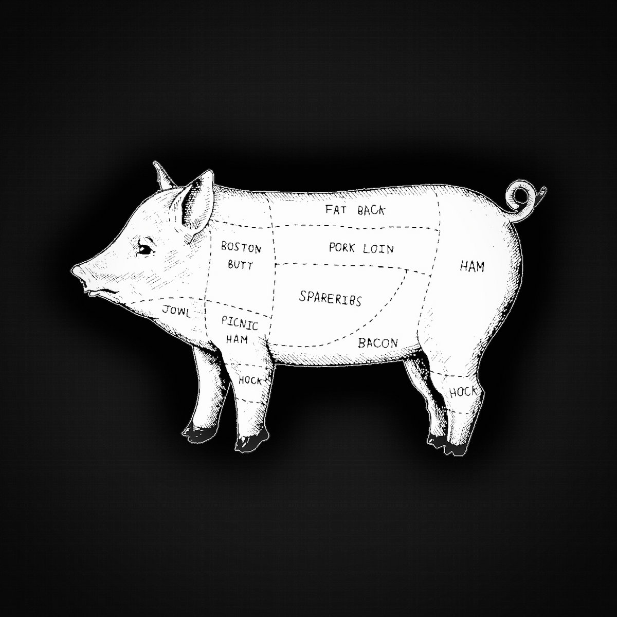 Mind Blowing Fact The Exact Chromosome Number In A Pig - gd12uq1