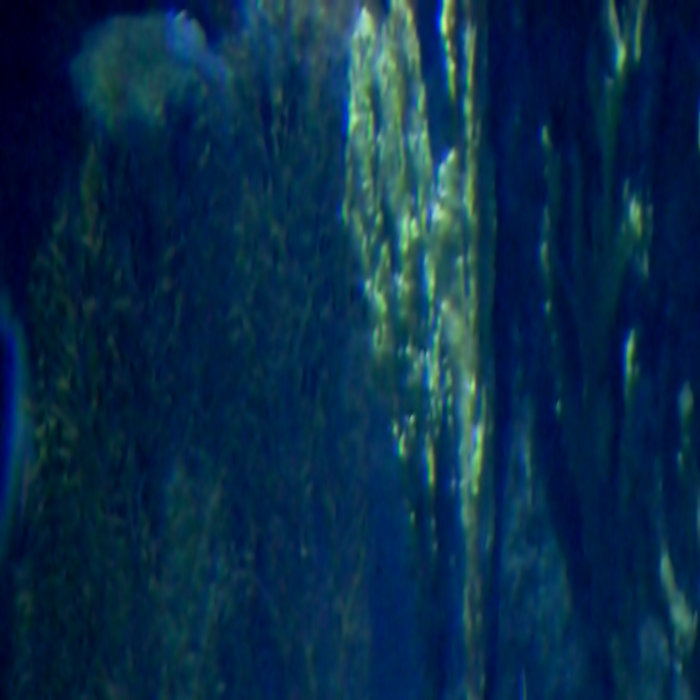 Blue Compost Coppice Halifax