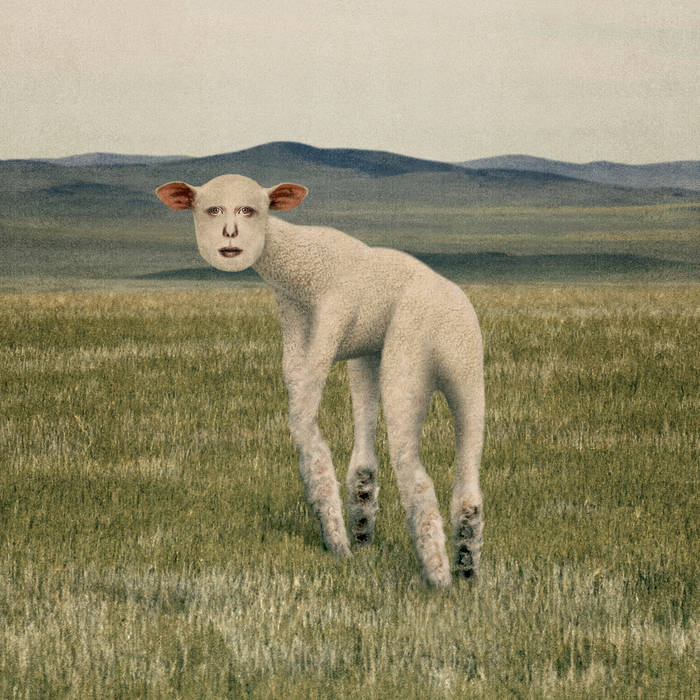동물 (Animal) | THORNAPPLE