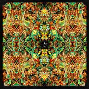 Fünf cover