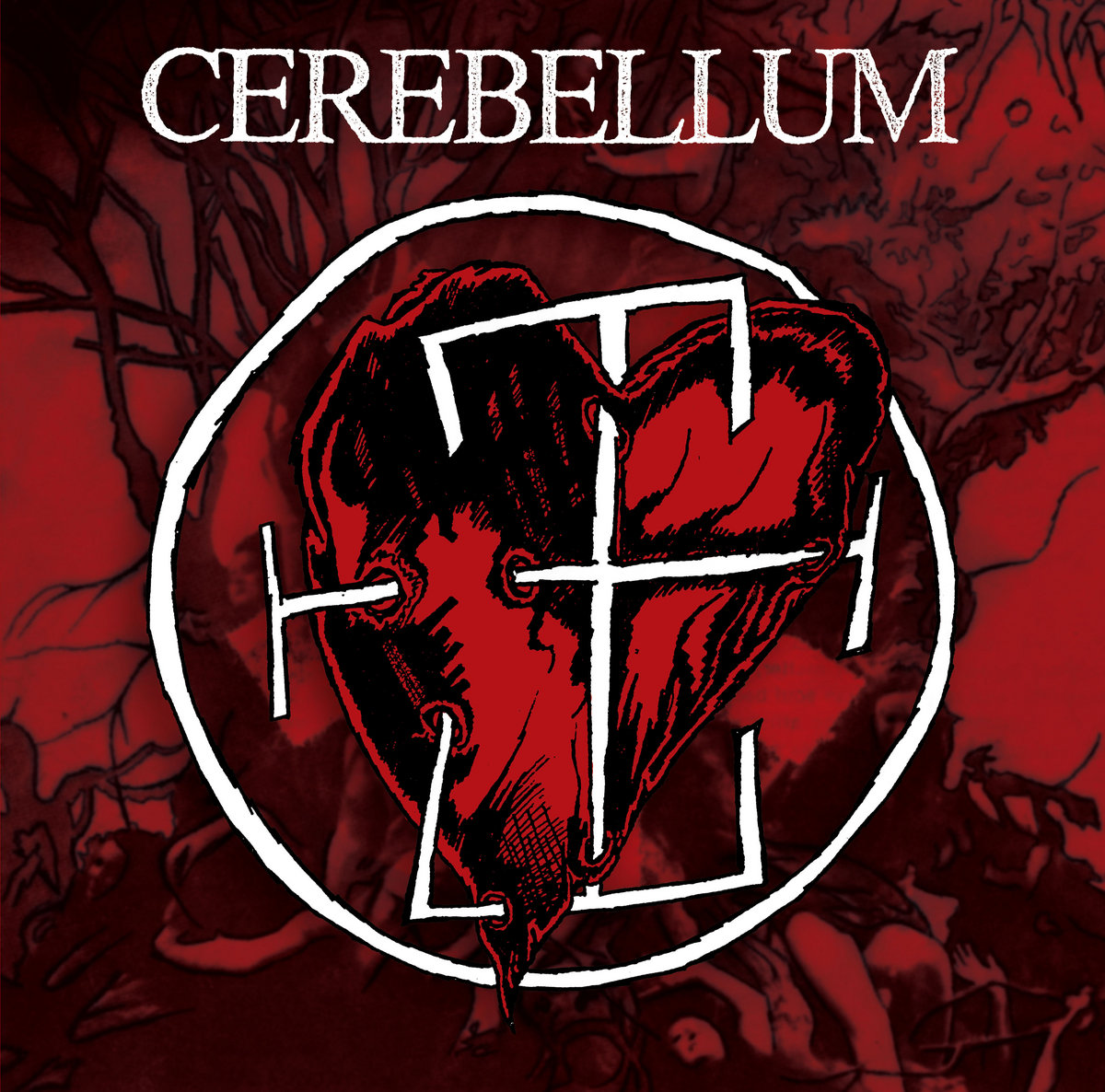 Cerebellum | Cerebellum | Noise Pollution