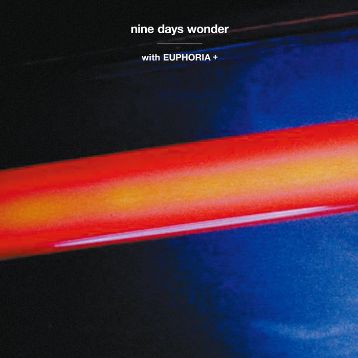 【希少LP】nine days wonder / scenery is~ Nine Days Wonder – The Scenery Is In Disguise There – CD (Album