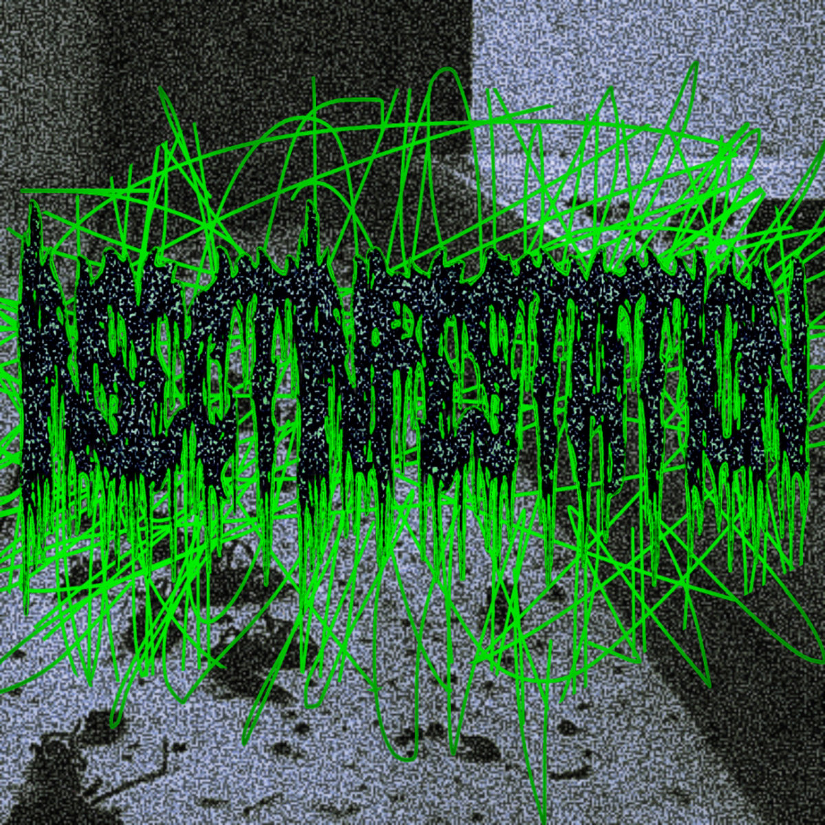insect-infestation-insect-infestation