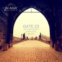Gate 23 cover art
