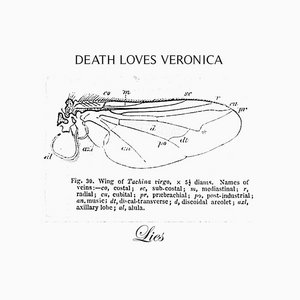 LIES cover
