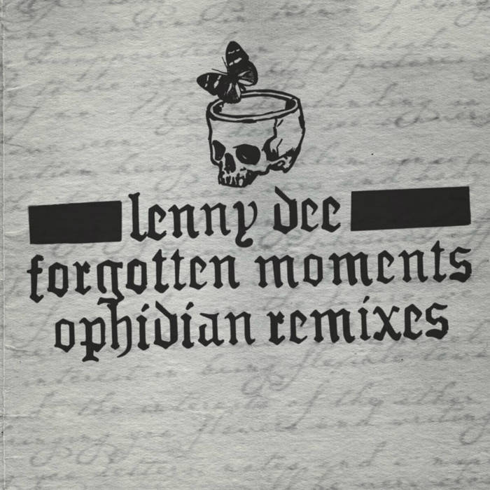 Lenny Dee – Forgotten Moments 12\" 超希少 Lenny Dee – Forgotten Moments 12 超希少