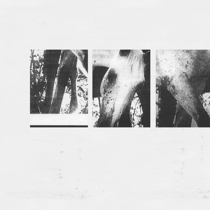 Veneer of Tolerance Remixes | JK Flesh