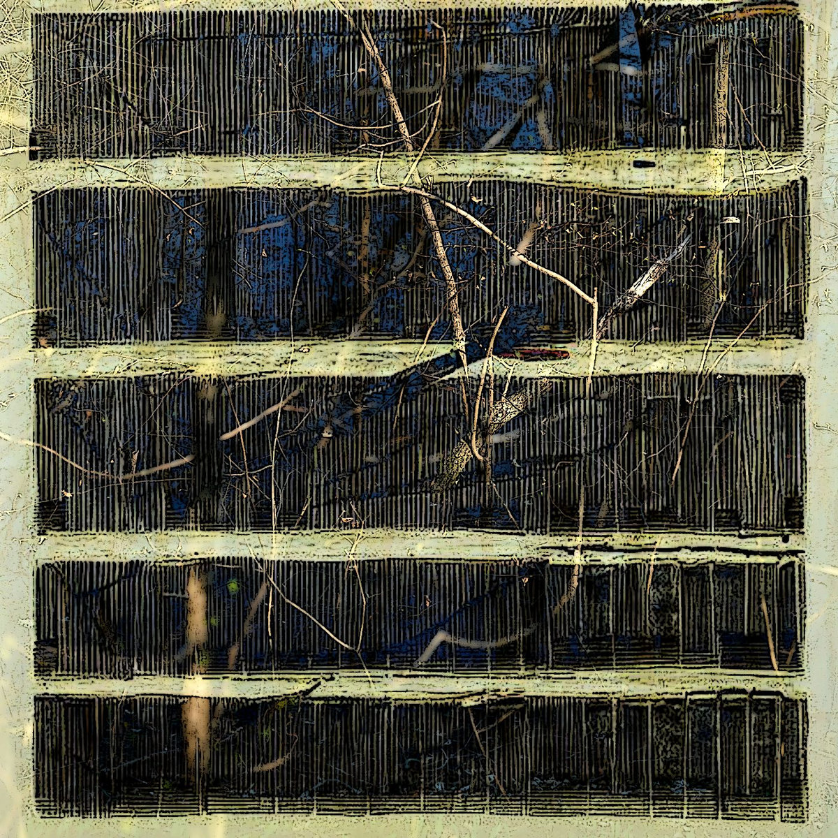 Wilhelm Matthies & Jukka-Pekka Kervinen – Through Thickets