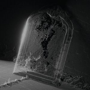 Visible Cloaks — Paradessence