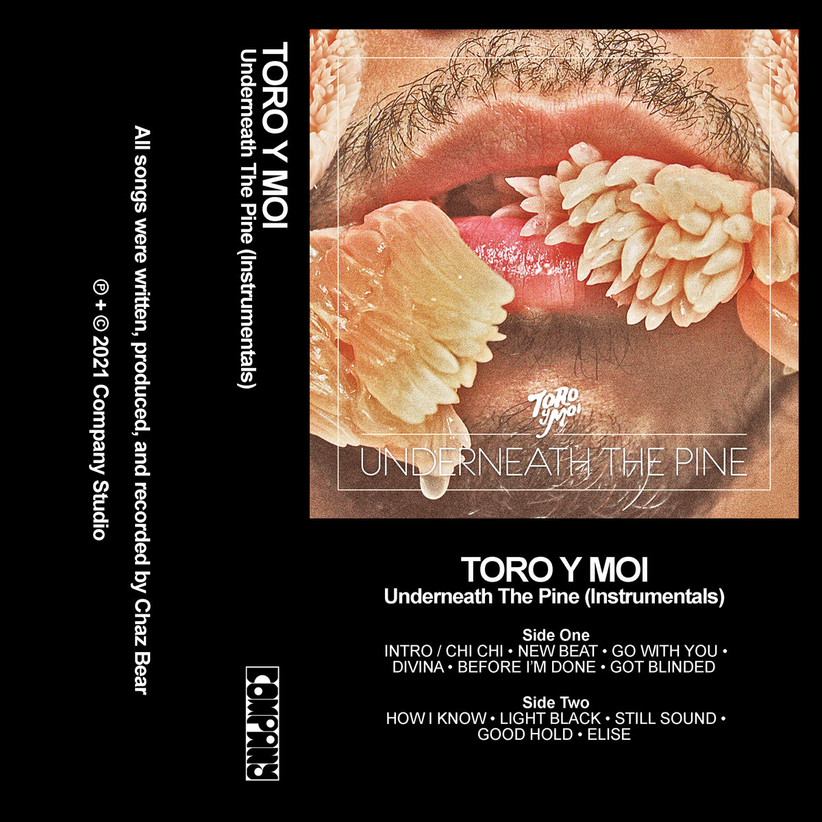 Got Blinded (Instrumental) | Toro y Moi