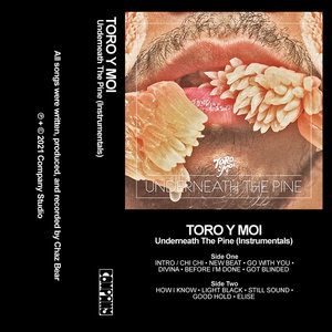 Toro y Moi — Underneath the Pine (Instrumentals)