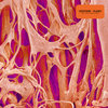 vaultofheaven.bandcamp.com