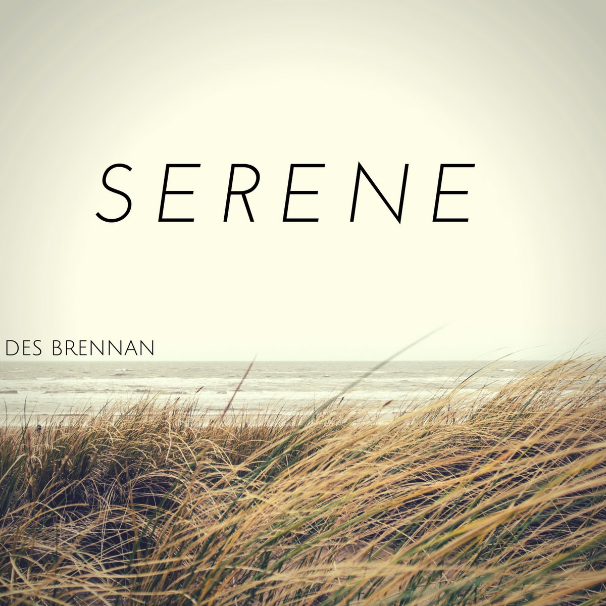 serene des brennan