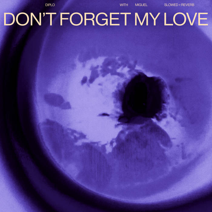 Don't Forget My Love (Acoustic) | Diplo