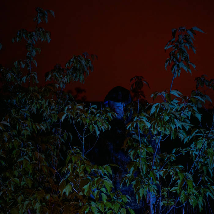 Nocturne | mufer