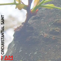 I AM -Expanded cover art