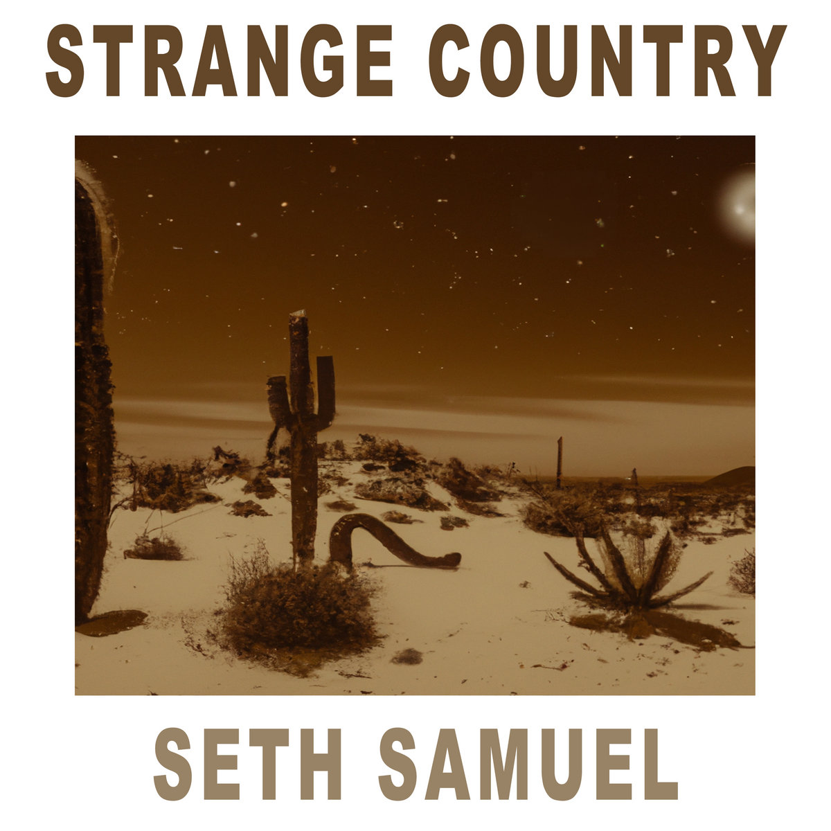 Strange Country Strange Country | Seth G. Samuel