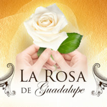 La Rosa De Guadalupe x Move Ya Body x Culo (Chan Edit) cover art