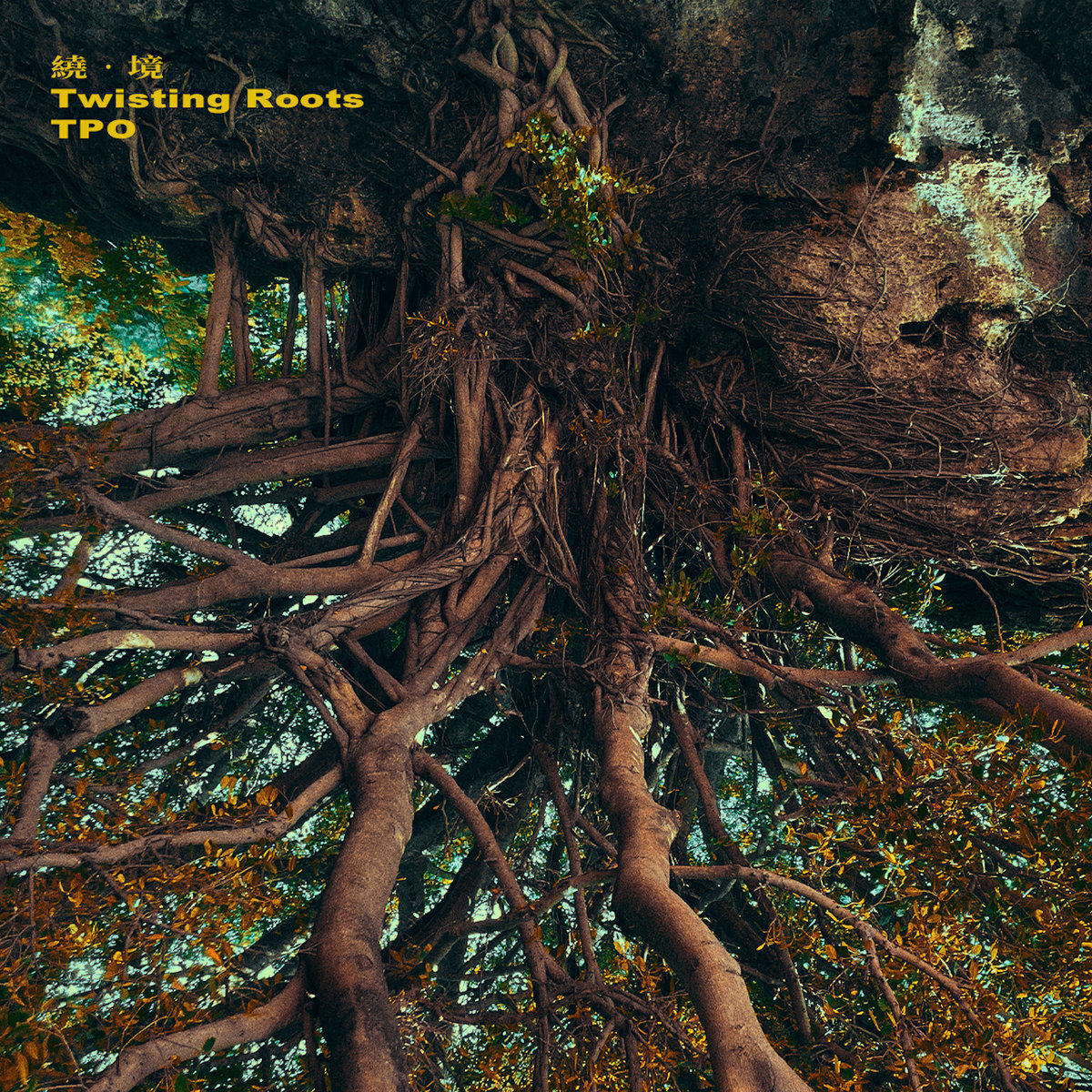 Twisting Roots Twisting Roots | TPO Big Band