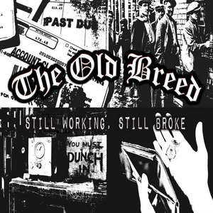 Still Working, Still Broke cover