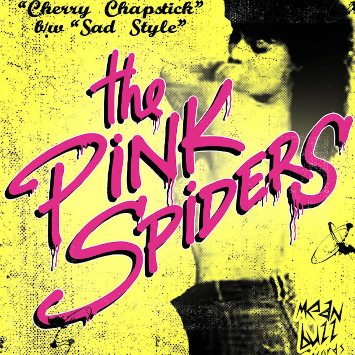 Singles, B-Sides and Rarities | the Pink Spiders