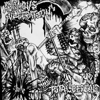 slaughter noise split with aphthous ulceration
TOTAL CEREAL