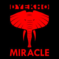 Miracle cover art