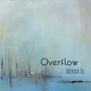 Overflow (2017) cover