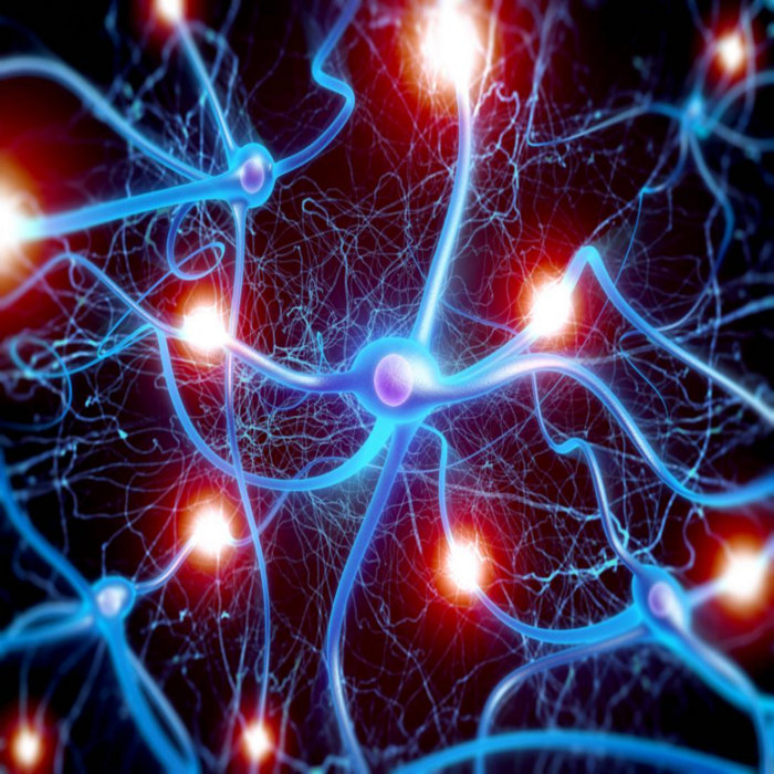 Nervive Nerve Relief Reviews: Is It Fake Or Trusted? | https