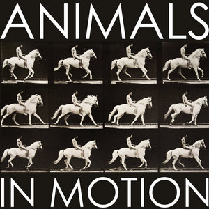Animals in MotionBirds and Arrows cover