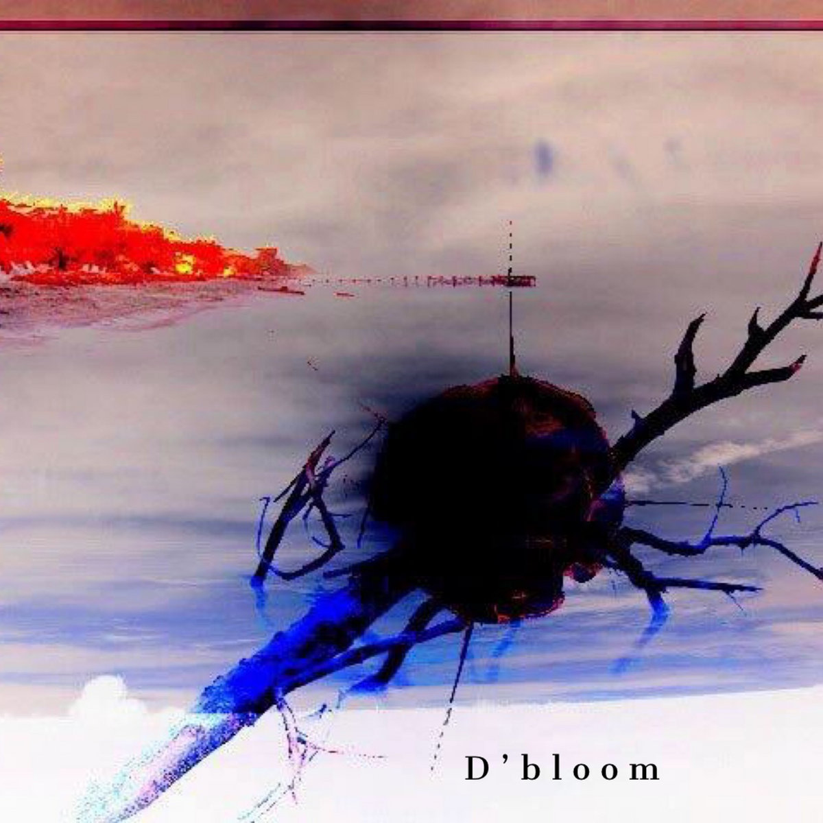 Dia Bloom D'bloom | D'bloom