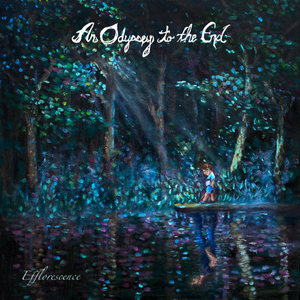Efflorescence cover