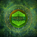 Ekaologik - Light Seeds