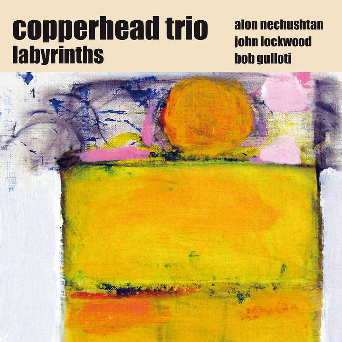 Labyrinths | Copperhead Trio | Ayler Records
