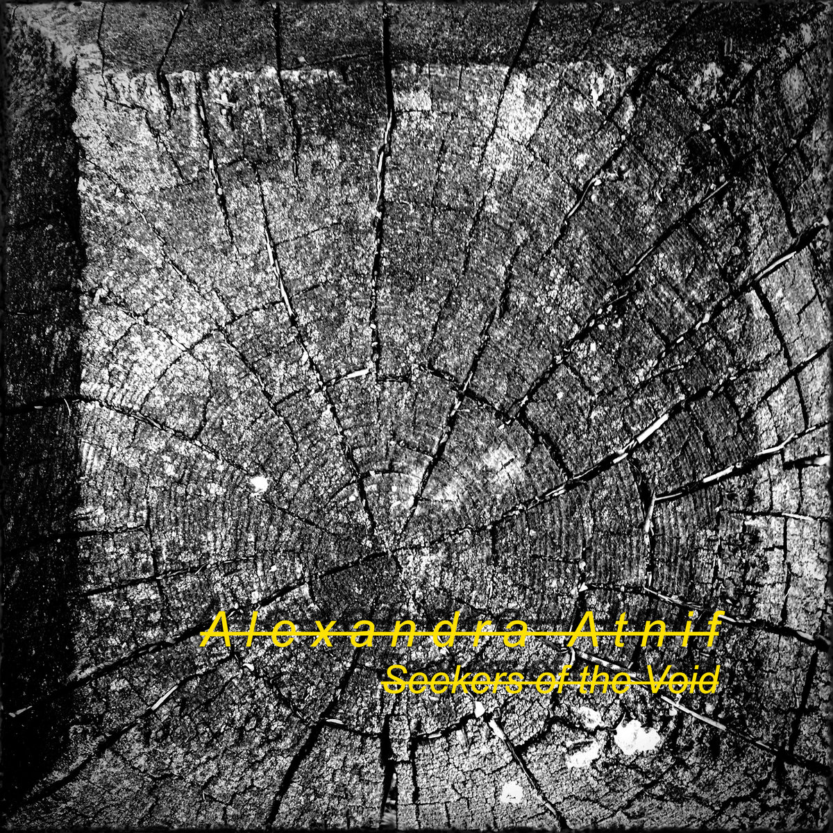Seekers of the Void <extended versions>