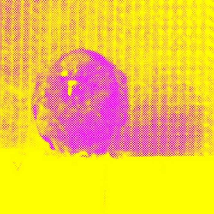 a0928373374_16.jpg