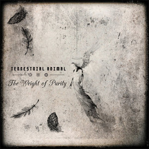 Terrestrial Animal — The Weight of Purity