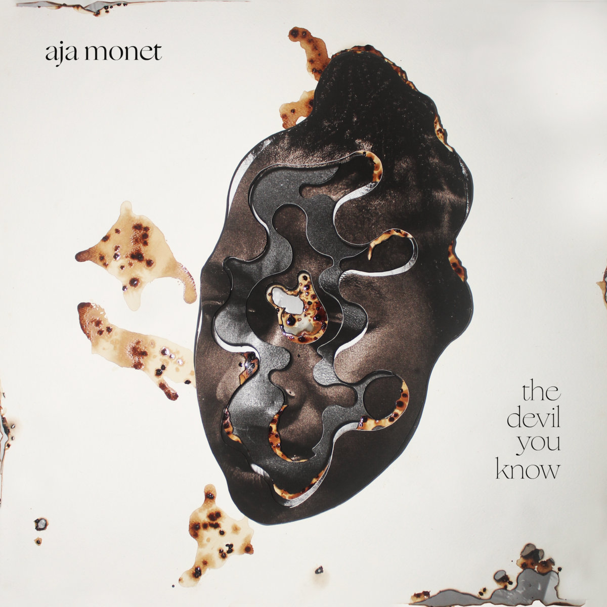 when the poems do what they do | aja monet