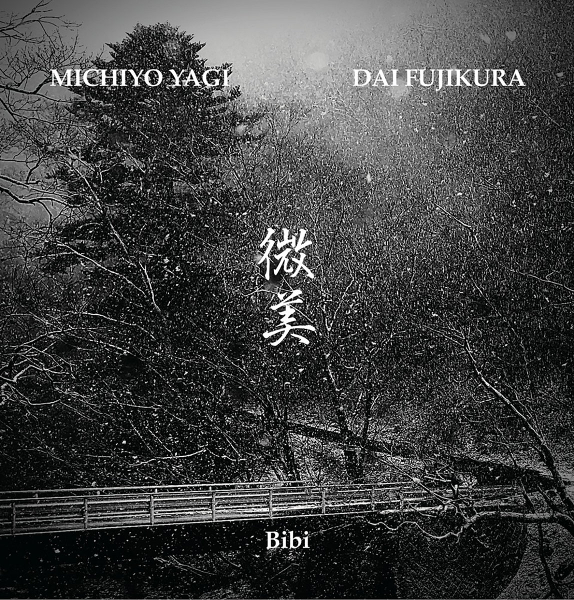 期間限定キャンペーン | Bibi Michiyo Fujikura Dai | Yagi ダーツ