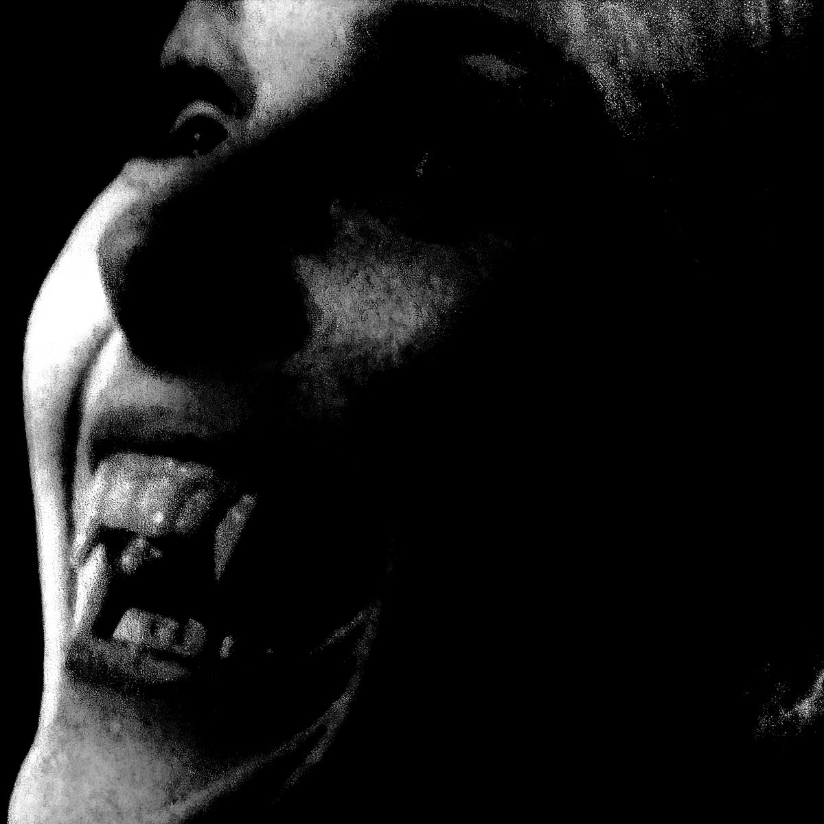 Distorted Fear distorted fear | Head Case