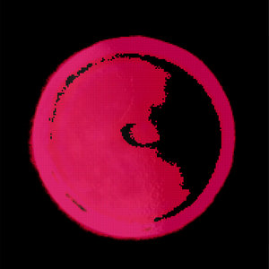 'Last Quarter' Demos cover