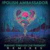 Pushing Through The Pavement (Remixes) Cover Art