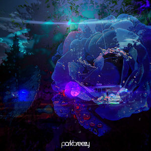 parkbreezy — Last Forever