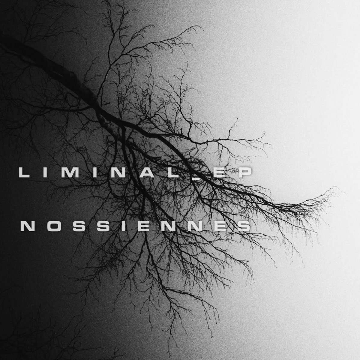 liminal-ep-nossiennes-shore-dive-records