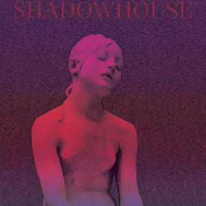 Shadowhouse — Fosaken Forgotten LP (Violet / Gatefold)