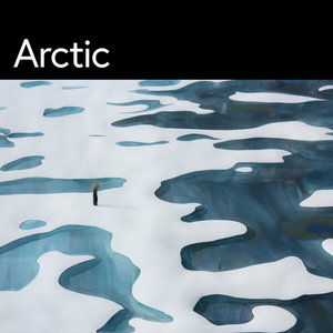 Arctic cover
