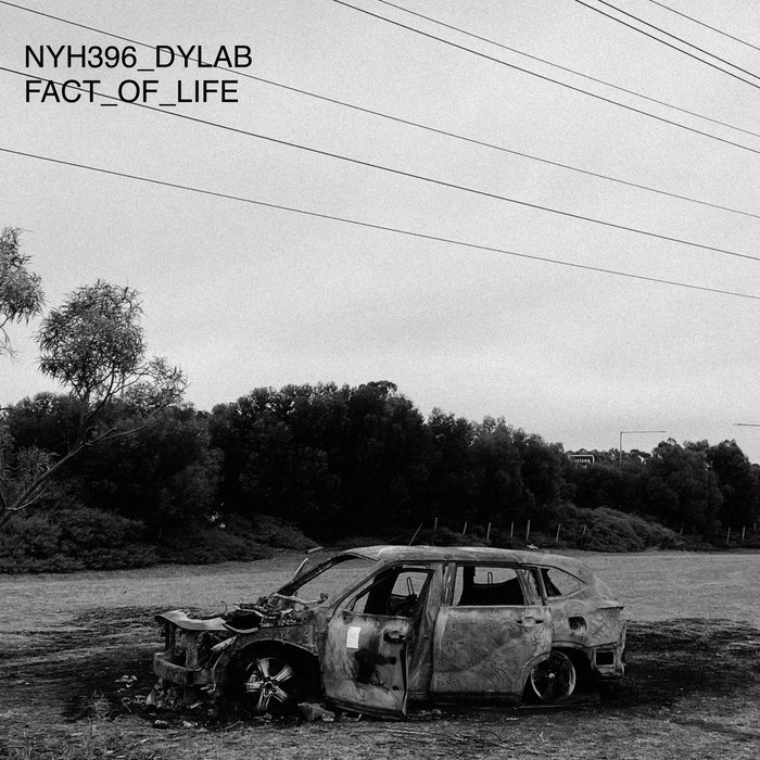 NYH396 DyLAB - Fact of Life, by New York Haunted