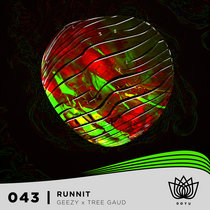 Geezy & Tree Gaud - Runnit cover art