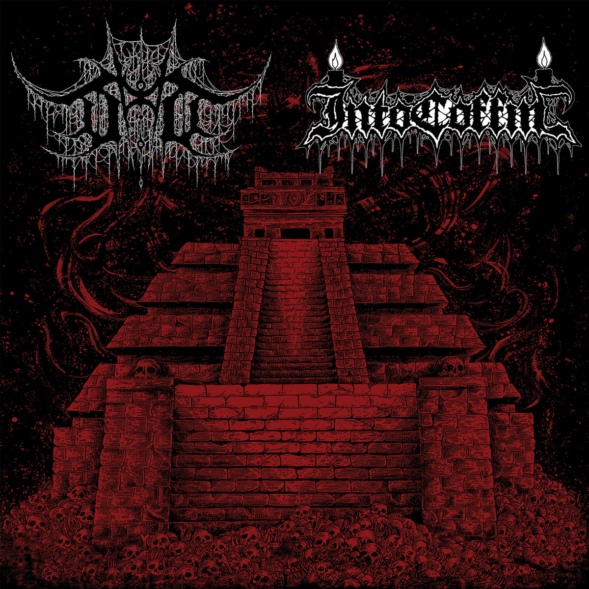 Devoid of Thought - Into Coffin split